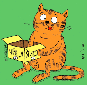kastracia2
