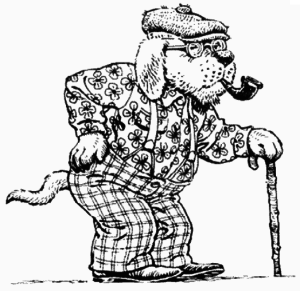 Old DOG 1